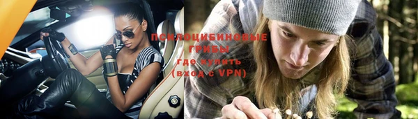метадон Аркадак