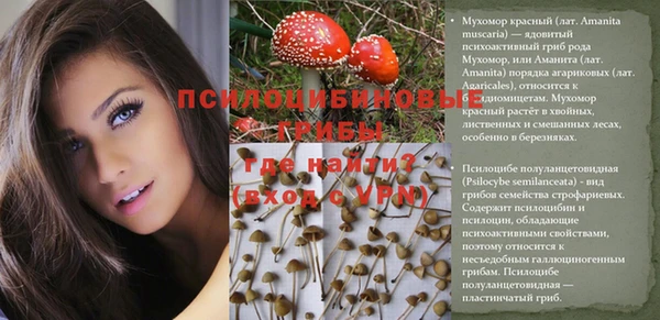 бутират Алексин