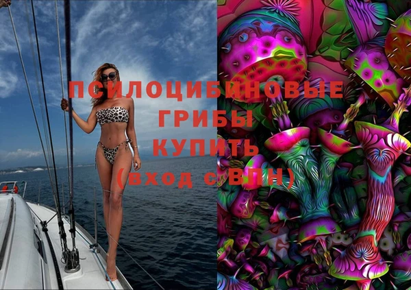 круглые Алзамай