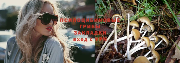 метадон Аркадак
