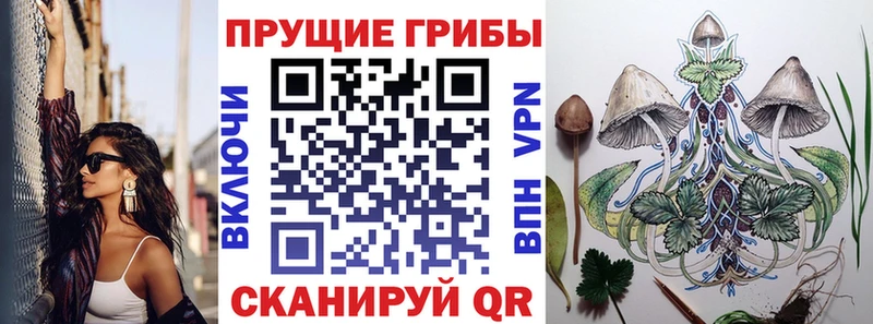 Псилоцибиновые грибы мицелий  купить  сайты  Уяр 