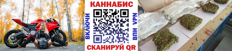 Конопля сатива  Уяр 